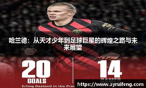 365WM完美体育官方app