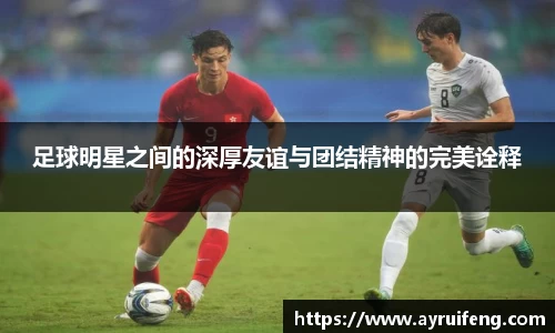 365WM完美体育官方网站